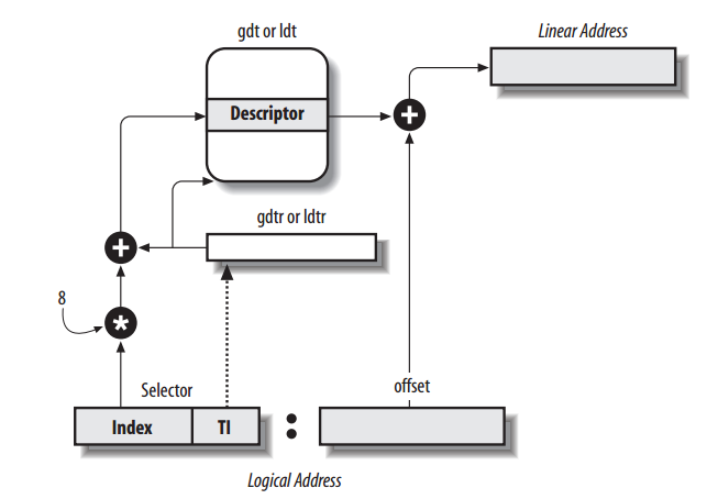 seg-process